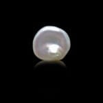 4.73 Carats Keshi Pearl ( 5.26 Ratti Moti )