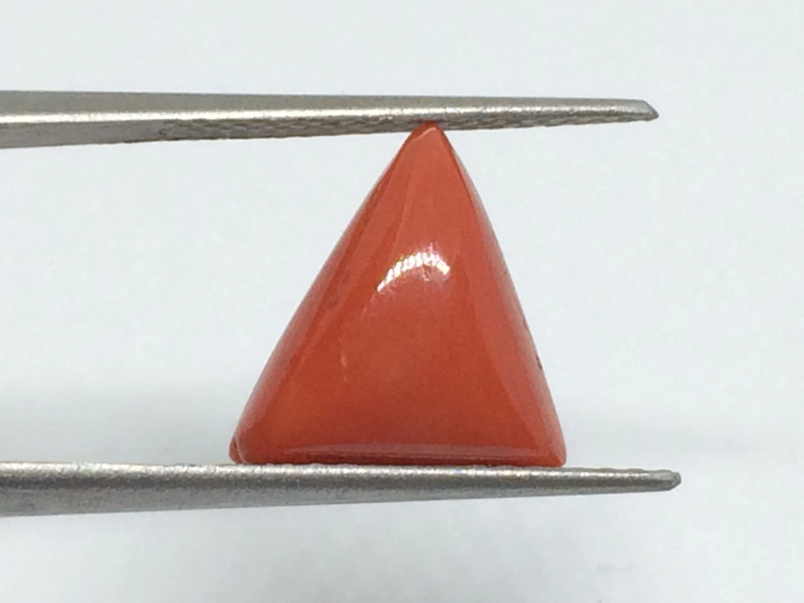 5.8 Carats Red Coral ( 6.44 Ratti Moonga ) - Image 4