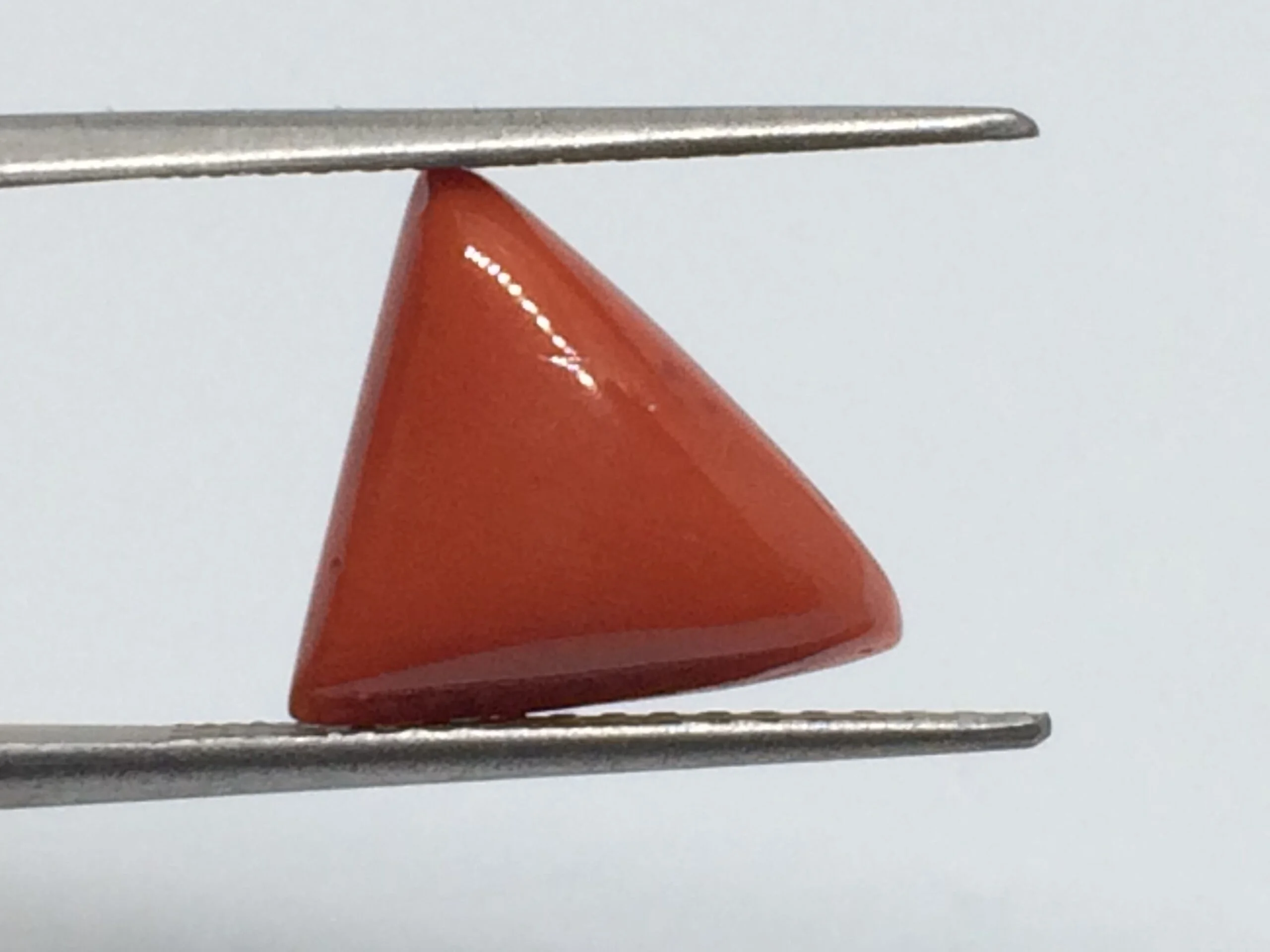 5.8 Carats Red Coral ( 6.44 Ratti Moonga ) - Image 5