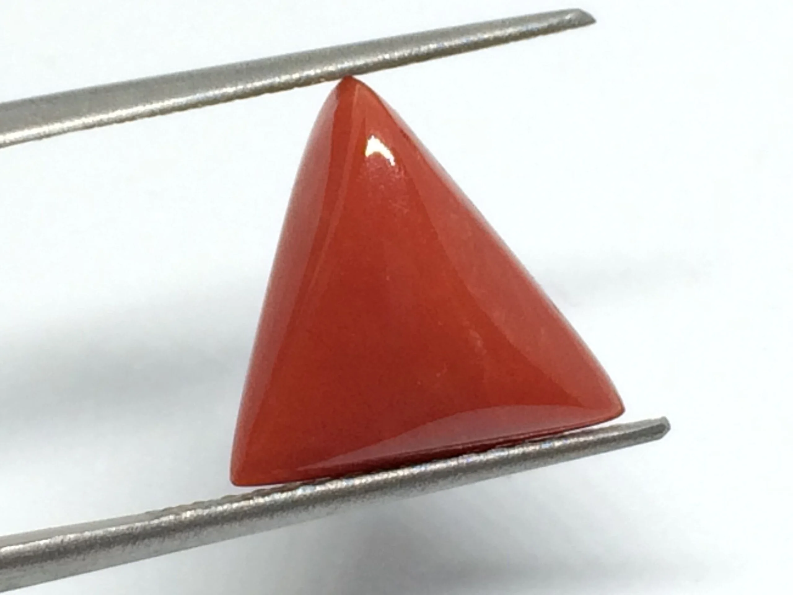 6.59 Carats Red Coral ( 7.32 Ratti Moonga ) - Image 2