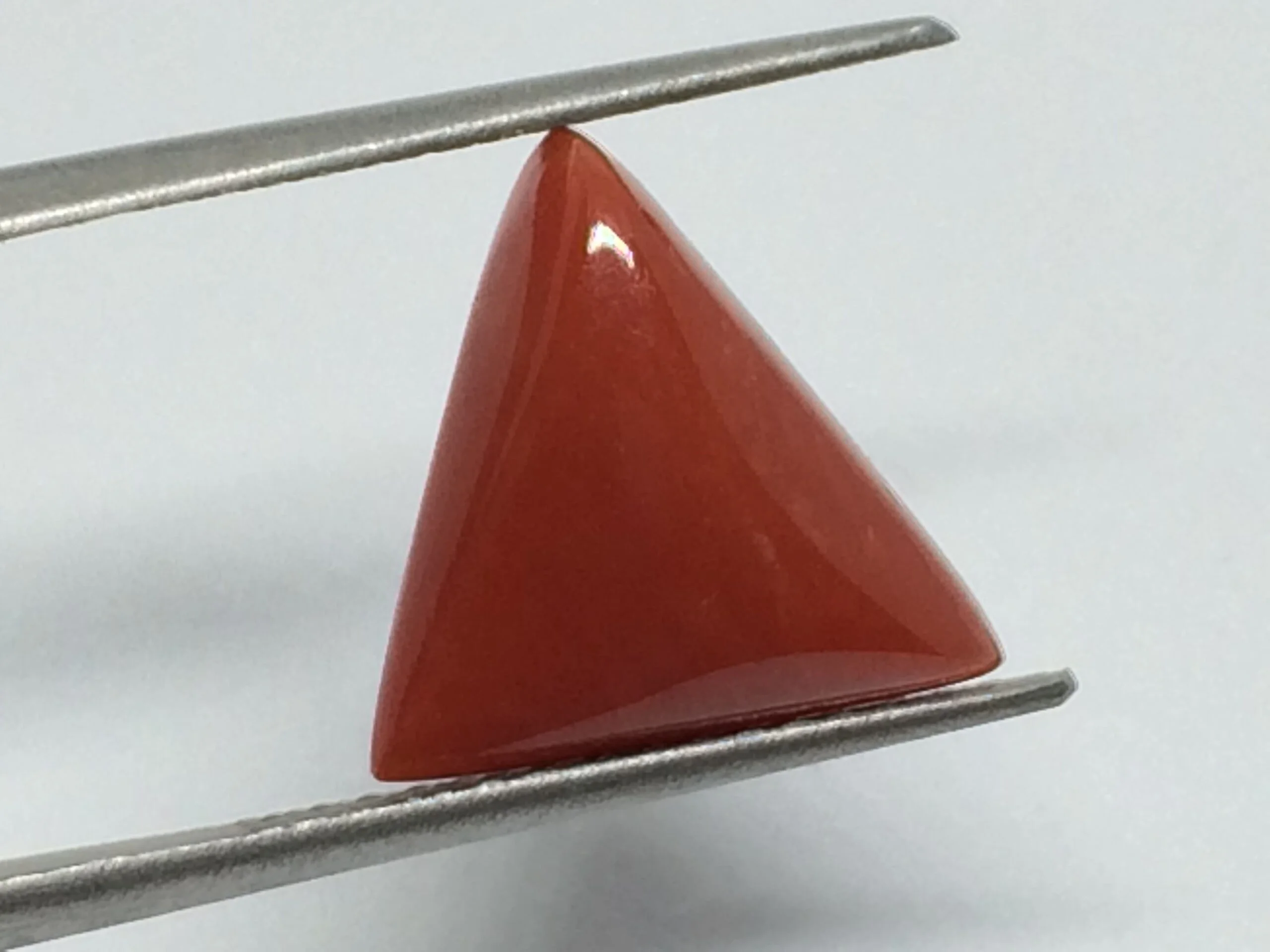 6.59 Carats Red Coral ( 7.32 Ratti Moonga ) - Image 3