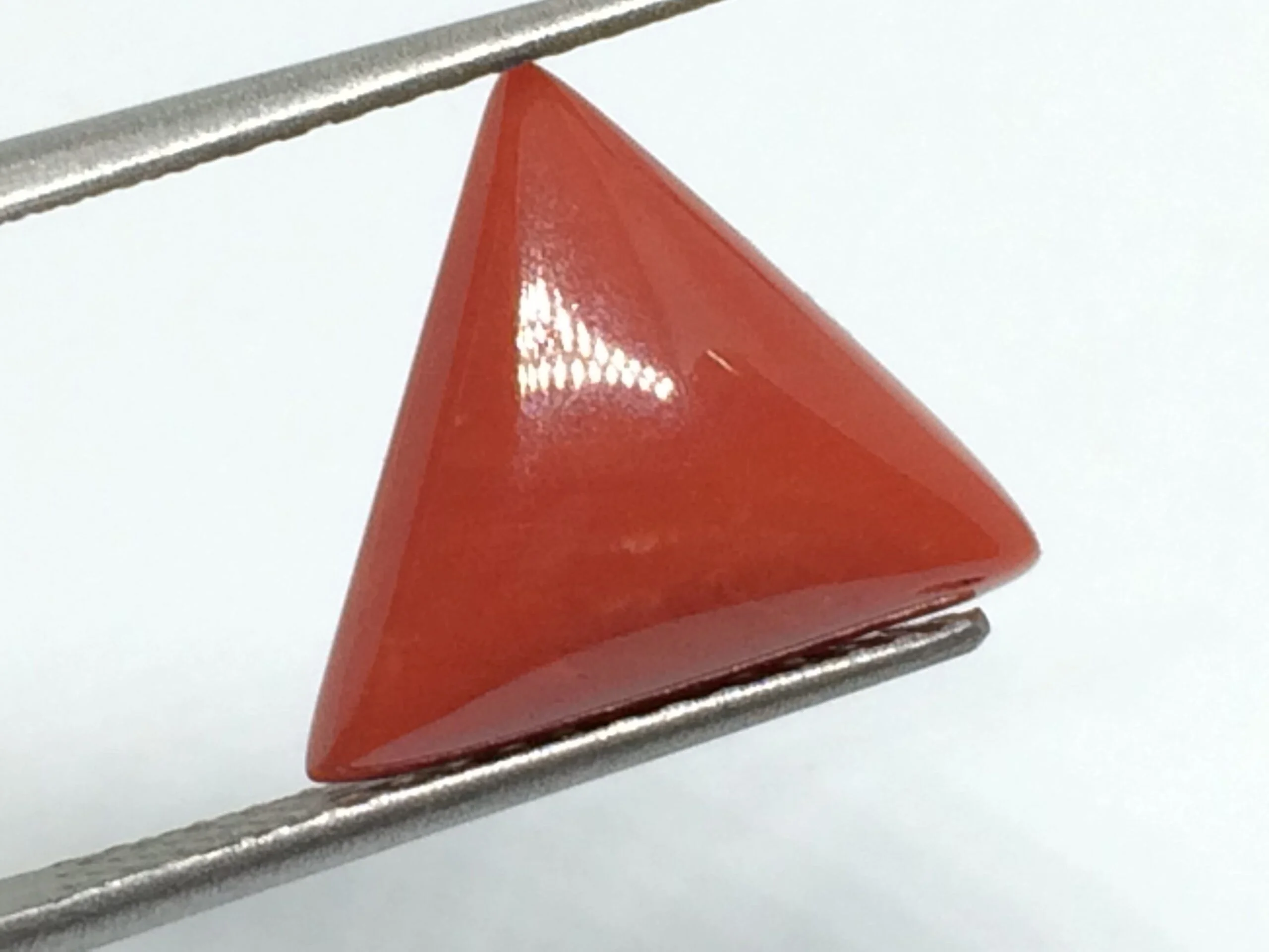 6.59 Carats Red Coral ( 7.32 Ratti Moonga ) - Image 6