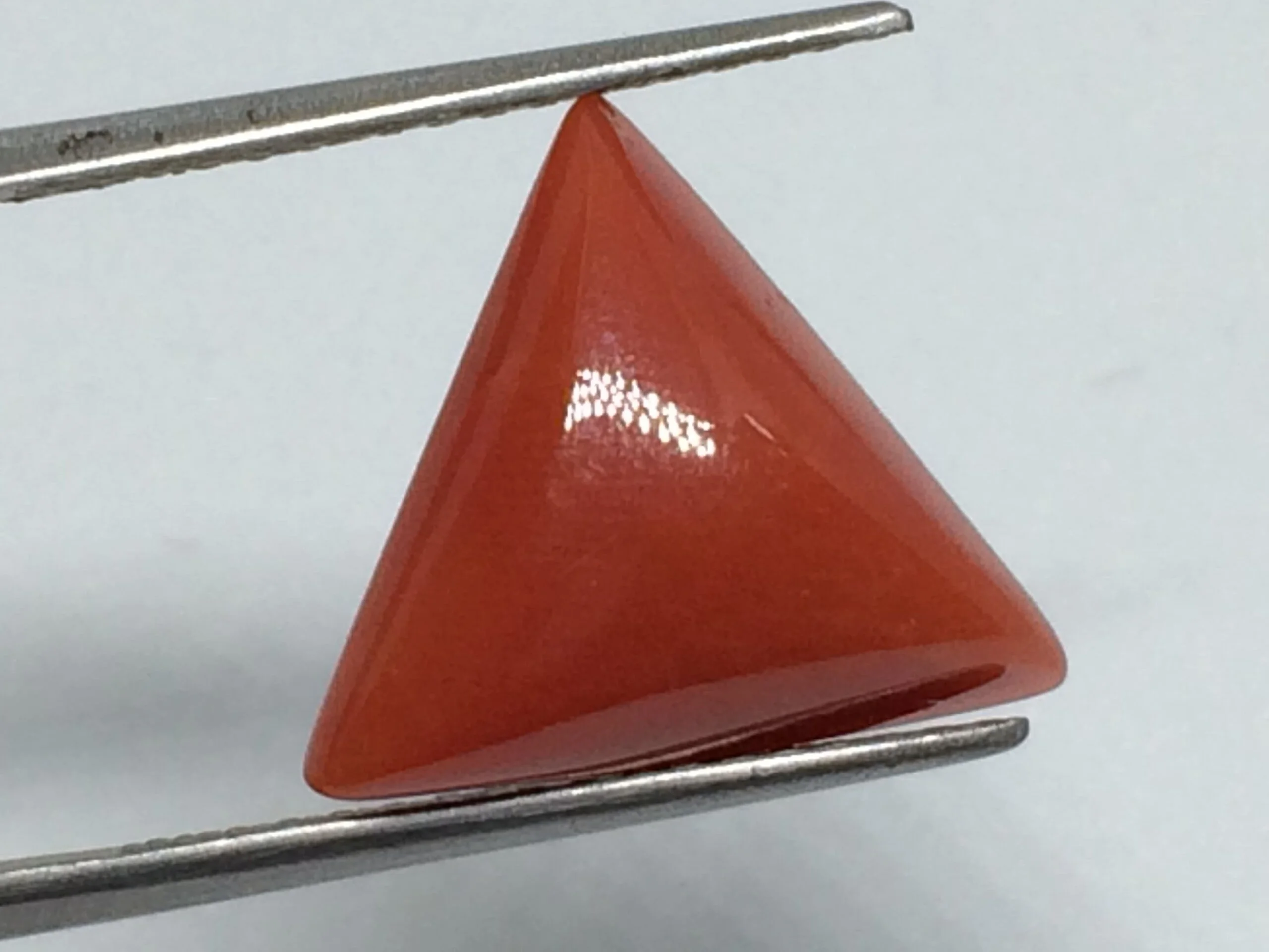 RG-MU-T-07 (1) 7.02 Carats Red Coral ( 7.8 Ratti Moonga ) - Image 1