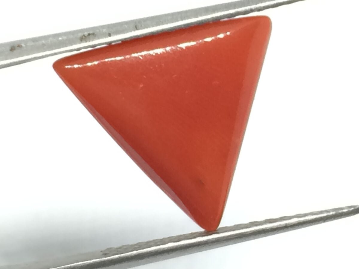 7.02 Carats Red Coral ( 7.8 Ratti Moonga ) 2