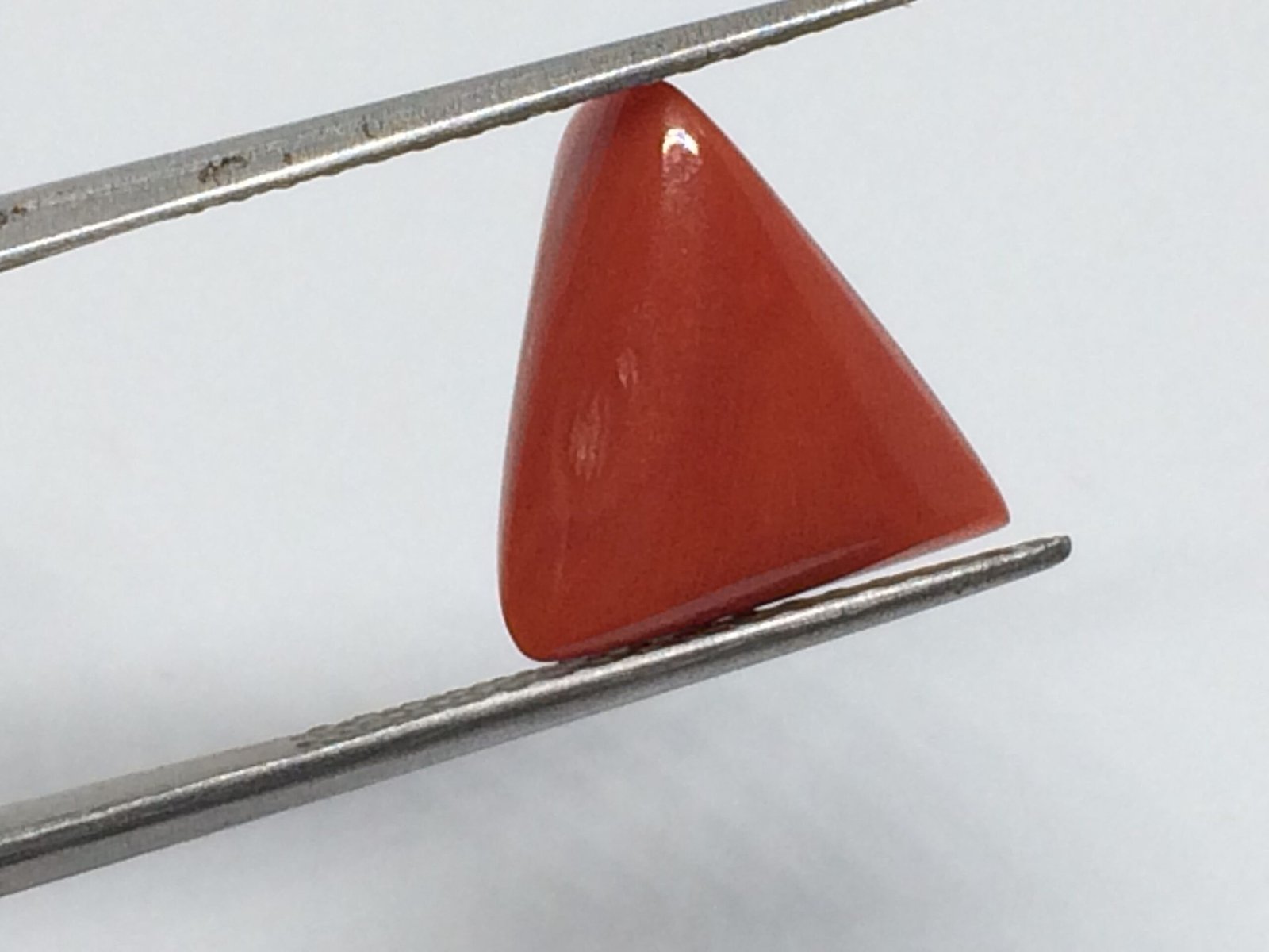 6.22 Carats Red Coral 6.91 Ratti Moonga Rajendra s Gems World Gemstone Dealer in New Delhi