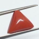 7.17 Carats Red Coral ( 7.97 Ratti Moonga )