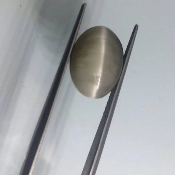 7.37 Carats Quartz Cats Eye ( 8.19 Ratti Lehsunia )