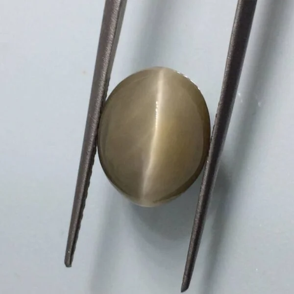8.4 Carats Quartz Cats Eye ( 9.33 Ratti Lehsunia )