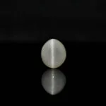 7.32 Carats Quartz Cats Eye ( 8.13 Ratti Lehsunia )