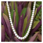 Real Pearl Necklace Set ( Moti Mala With Earring Original ) with Lab Certificate