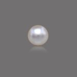 9.83 carats South Sea Pearl ( 10.92 ratti Moti )