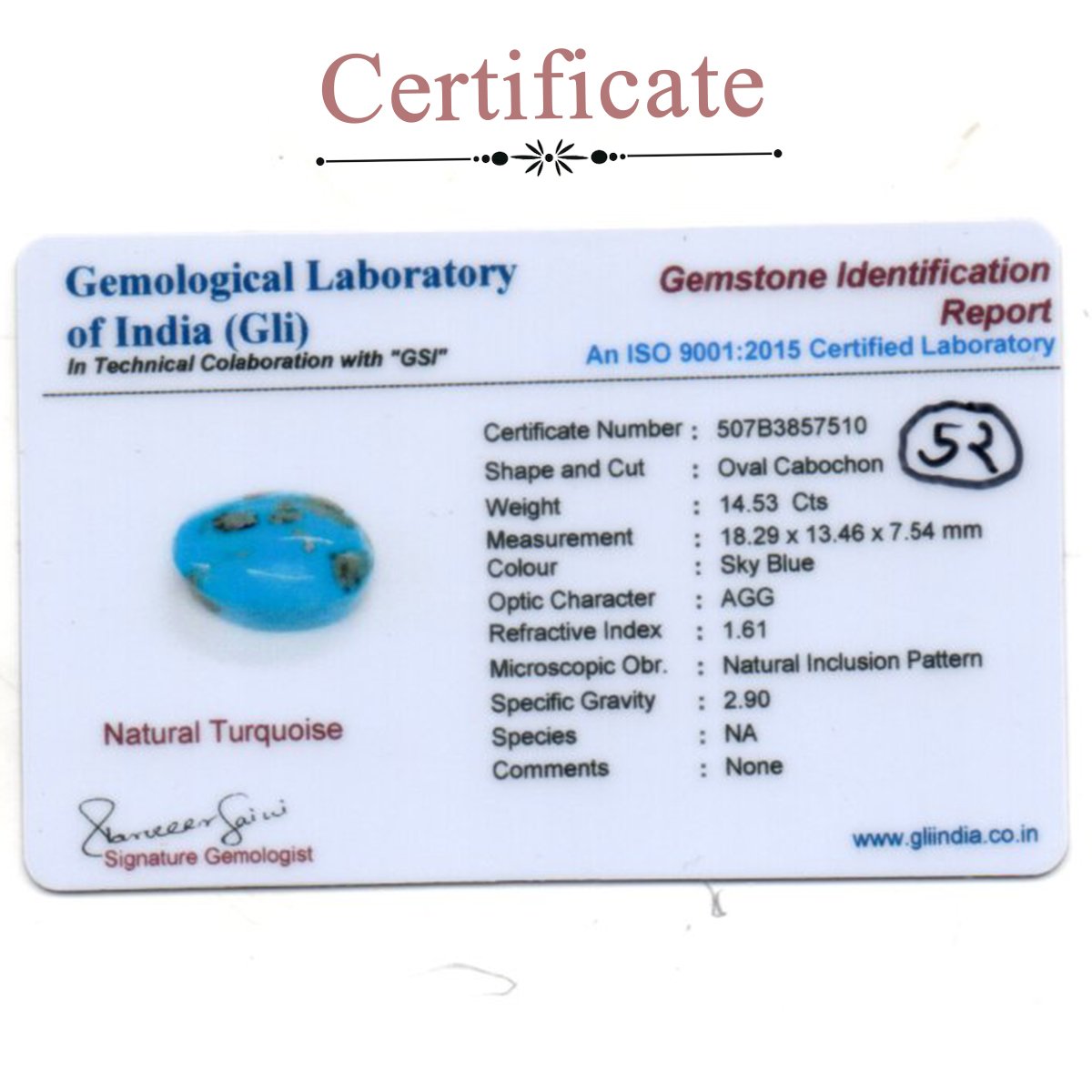 d0925-rg-fr-ir-52-3-certificate 14.53 carats Turquoise ( 16.14 ratti Firoza ) - Image 3