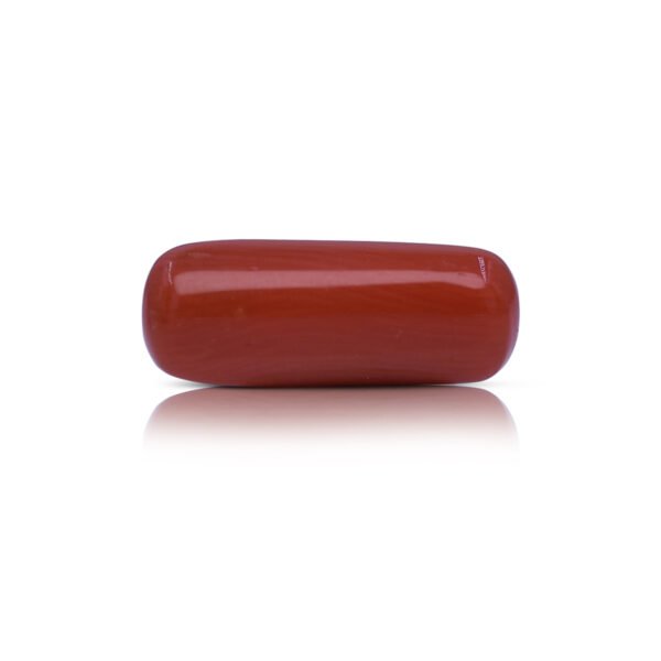 5.41 carats Red Coral ( 6.01 ratti Moonga )