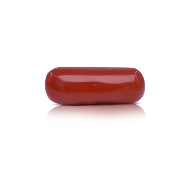 4.88 carats Red Coral ( 5.42 ratti Moonga )