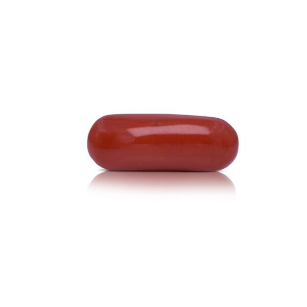 4.94 carats Red Coral ( 5.49 ratti Moonga )