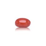 7.25 carats Red Coral ( 8.06 ratti Moonga )