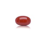 7.79 carats Red Coral ( 8.66 ratti Moonga )