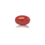11.29 carats Red Coral ( 12.54 ratti Moonga )