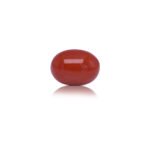 12.72 carats Red Coral ( 14.13 ratti Moonga )