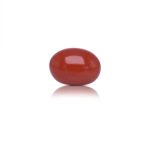 12.99 carats Red Coral ( 14.43 ratti Moonga )