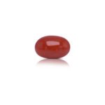 13.11 carats Red Coral ( 14.57 ratti Moonga )