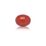 13.21 carats Red Coral ( 14.68 ratti Moonga )