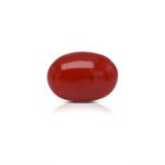 4.3 carats Red Coral ( 4.78 ratti Moonga )