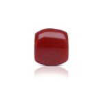 4.52 carats Red Coral ( 5.02 ratti Moonga )