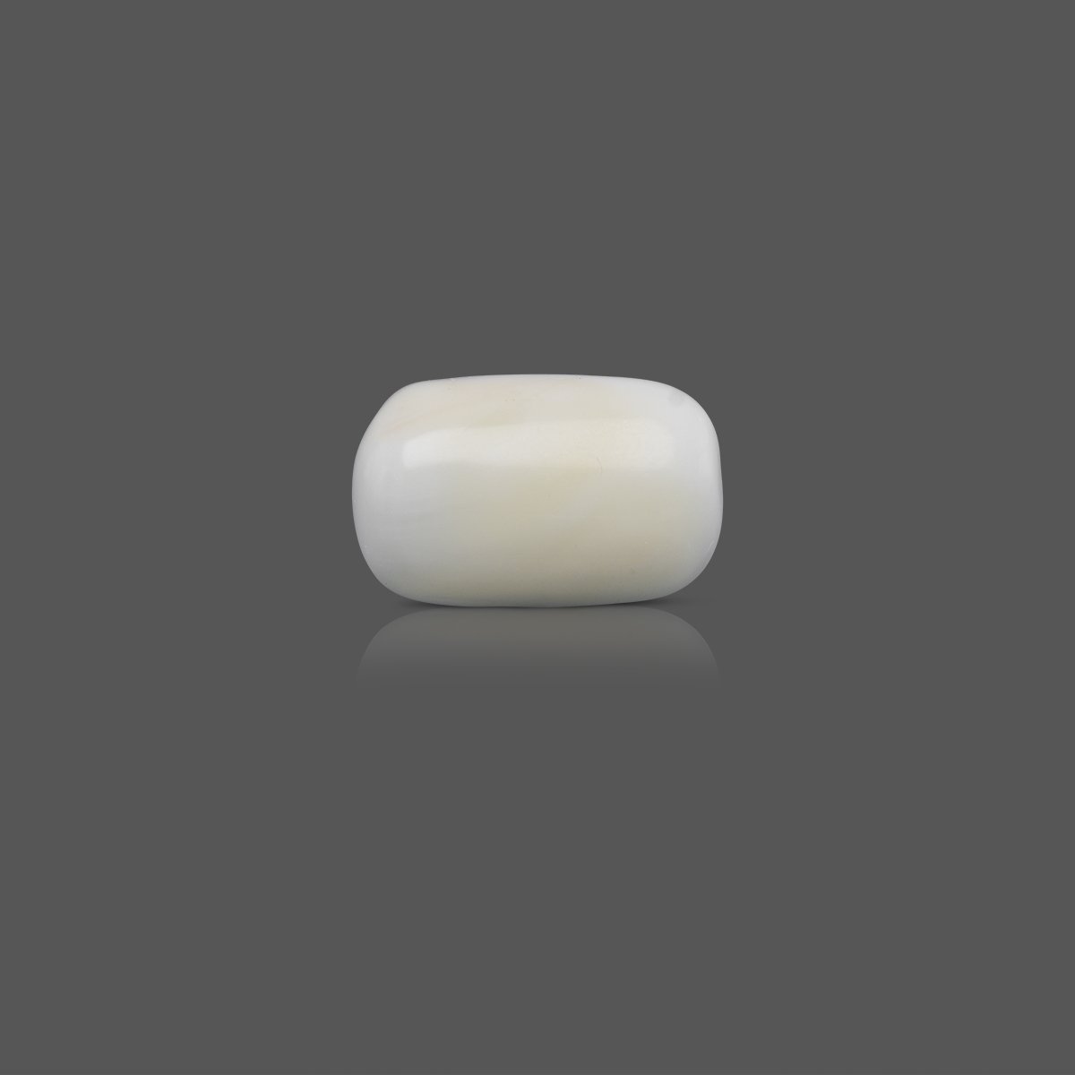 d1125-rg-wc-mu-italy-53-1 13.01 carats White Coral ( 14.46 ratti Safed Moonga ) - Image 1
