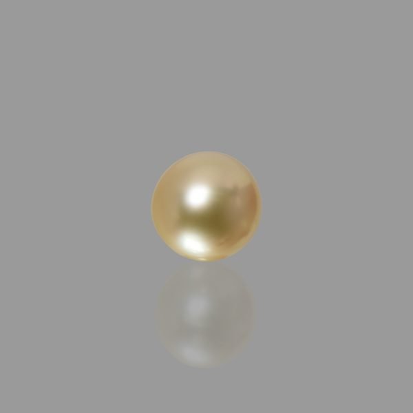 10.52 Carats South Sea Pearl ( 11.69 Ratti Moti )