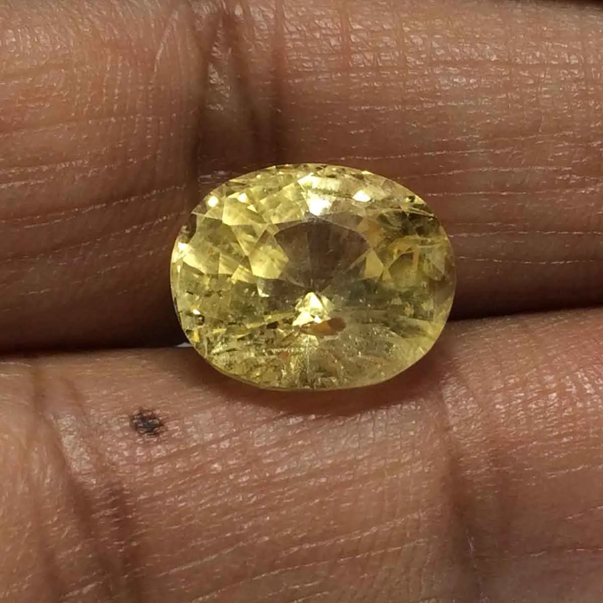 7.59 Carats Yellow Sapphire ( 8.43 Ratti Pukhraj ) 1