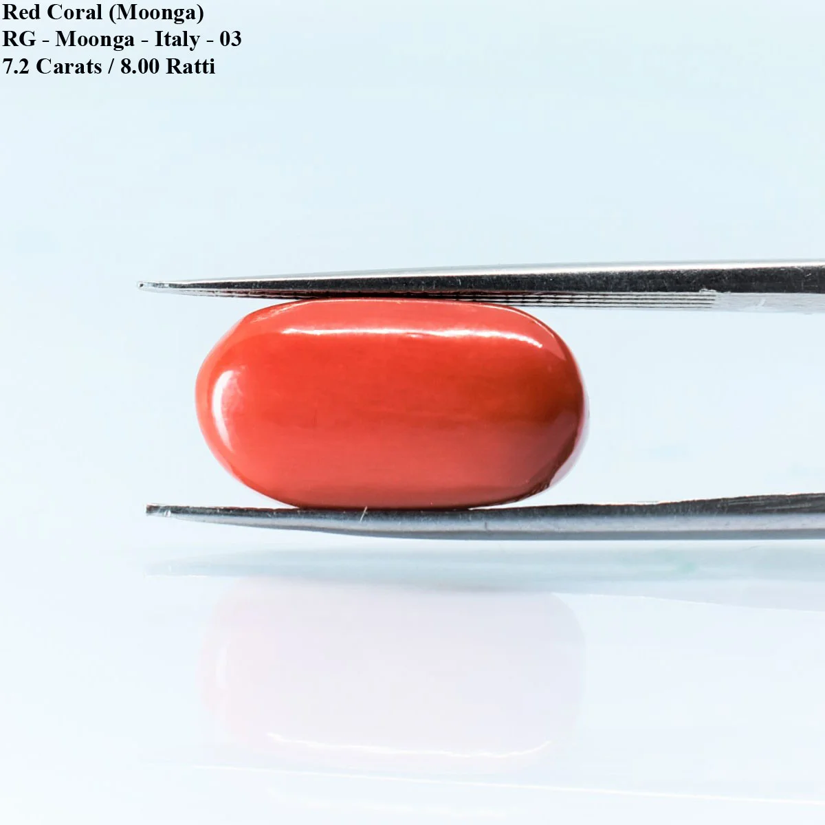 7.2 Carats Red Coral ( 8 Ratti Moonga ) - Image 3