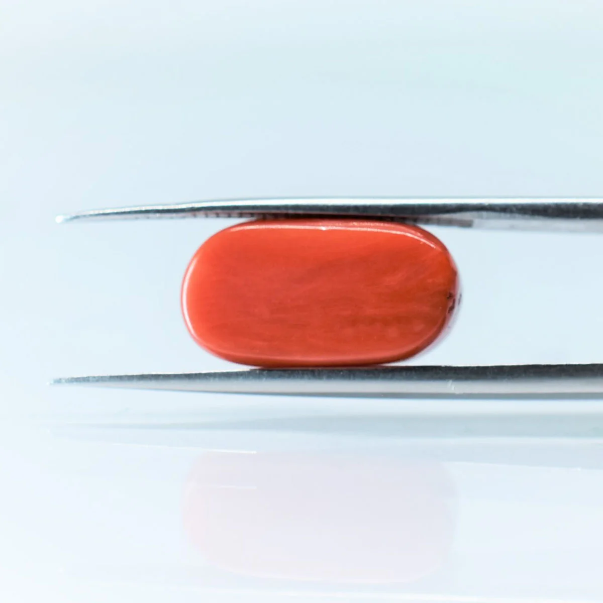 7.2 Carats Red Coral ( 8 Ratti Moonga ) - Image 4