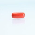 5.85 Carats Red Coral ( 6.5 Ratti Moonga )