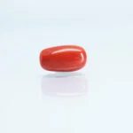 4.95 Carats Red Coral ( 5.5 Ratti Moonga )