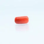 4.64 Carats Red Coral ( 5.16 Ratti Moonga )