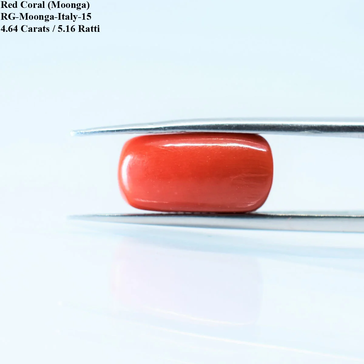 4.64 Carats Red Coral ( 5.16 Ratti Moonga ) - Image 3