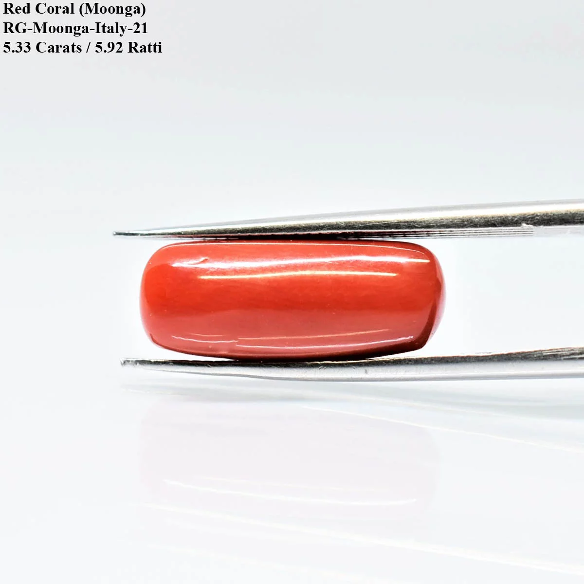 5.33 Carats Red Coral ( 5.92 Ratti Moonga ) - Image 2