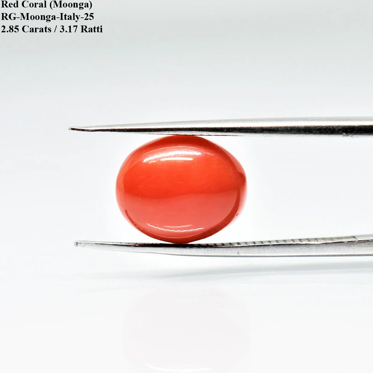 2.85 Carats Red Coral ( 3.17 Ratti Moonga ) - Image 2