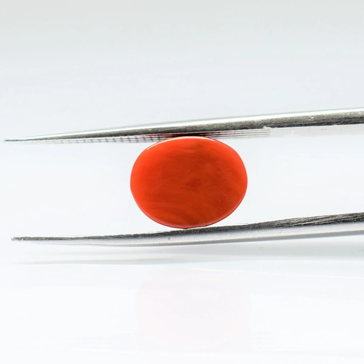 2.9 Carats Red Coral ( 3.22 Ratti Moonga ) 4