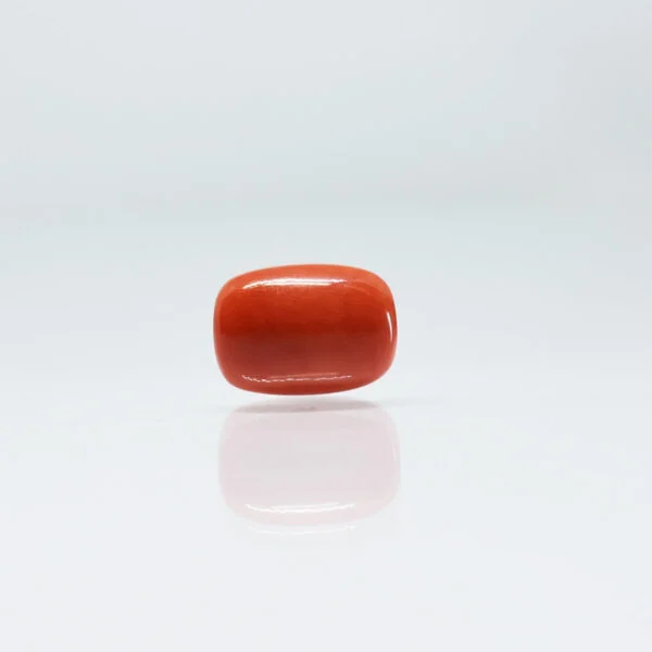 4.88 Carats Red Coral ( 5.42 Ratti Moonga )