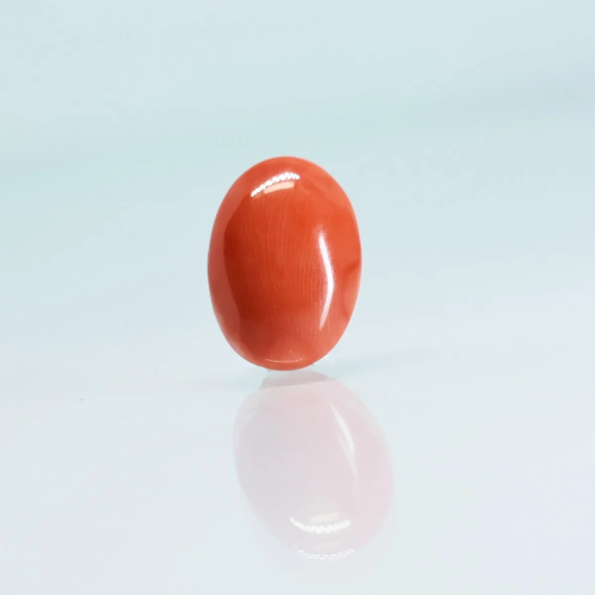5.16 Carats Red Coral ( 5.73 Ratti Moonga ) - Image 2