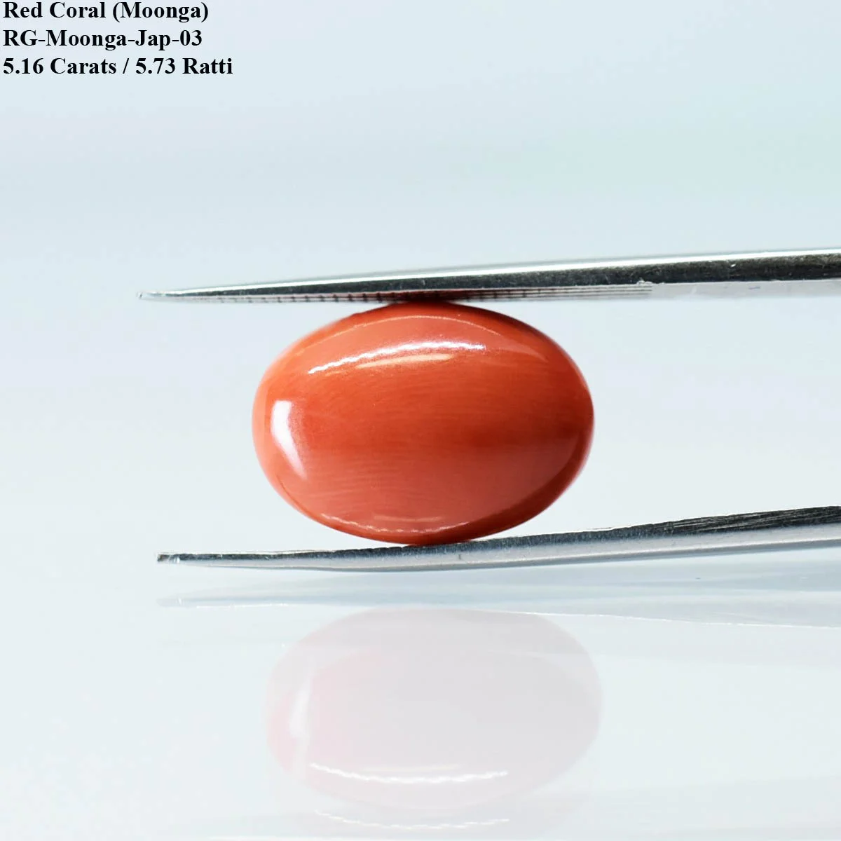 5.16 Carats Red Coral ( 5.73 Ratti Moonga ) - Image 4