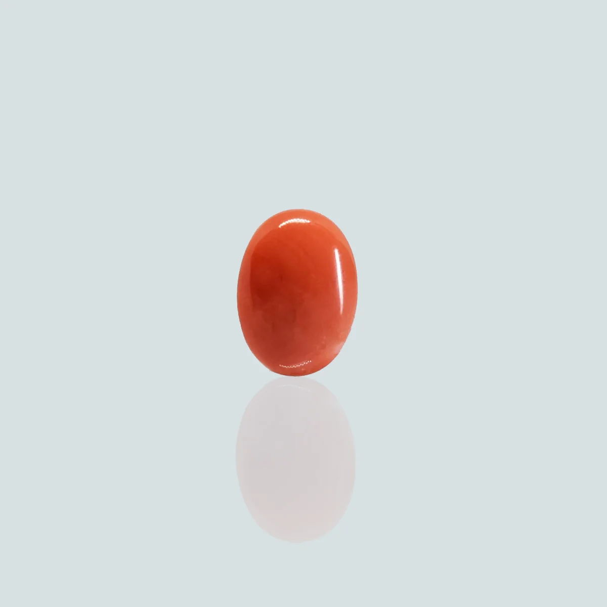5.51 Carats Red Coral ( 6.12 Ratti Moonga ) - Image 2