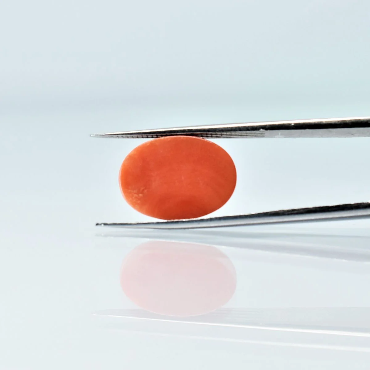 5.51 Carats Red Coral ( 6.12 Ratti Moonga ) - Image 4