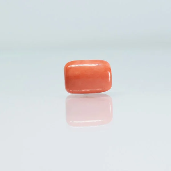 6.49 Carats Red Coral ( 7.21 Ratti Moonga )