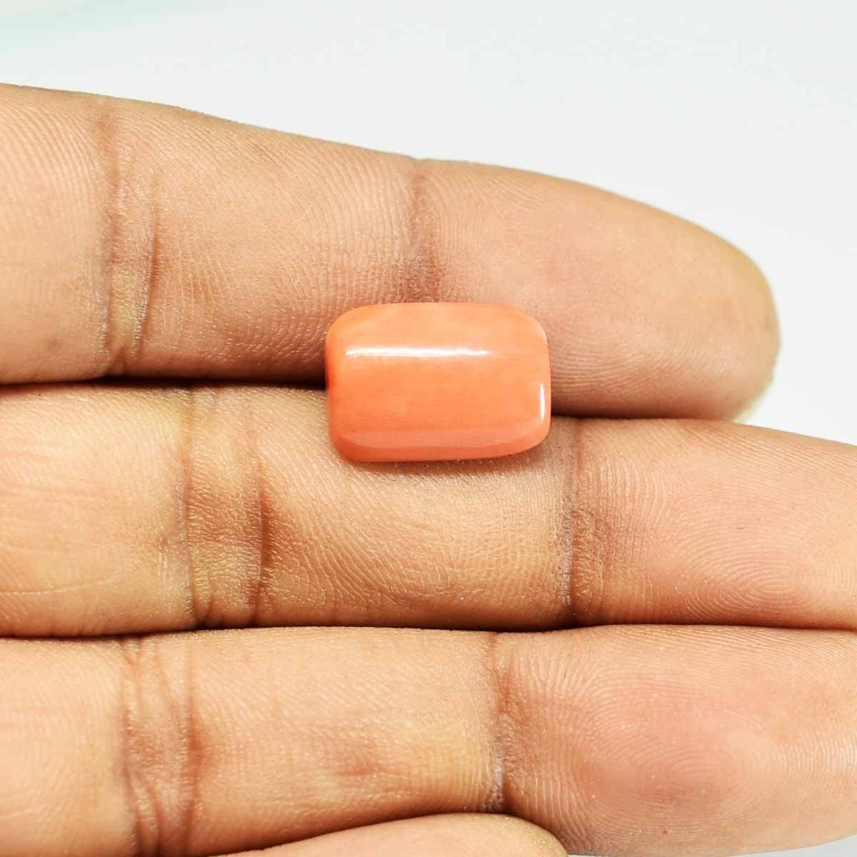 6.49 Carats Red Coral 7.21 Ratti Moonga Rajendra s Gems