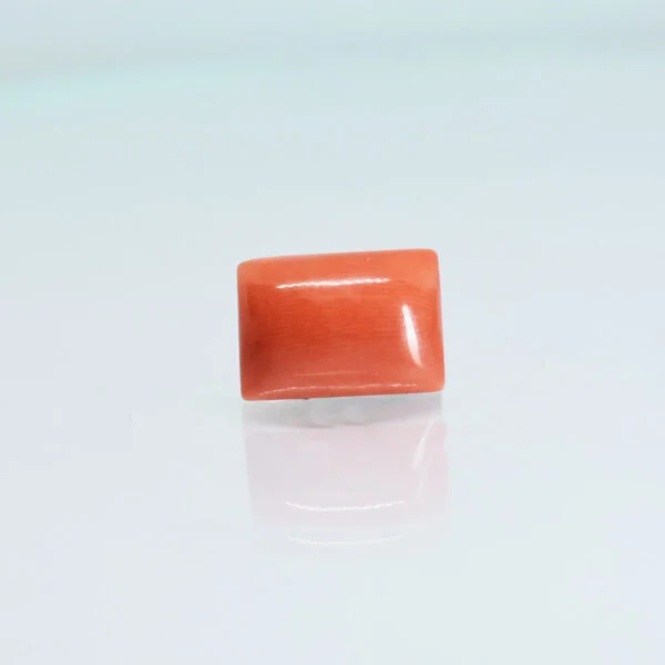 6.51 Carats Red Coral ( 7.23 Ratti Moonga )
