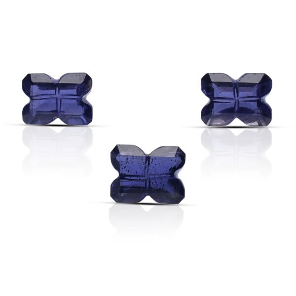 Natural Iolite Handcrafted Carving 3 pcs Set