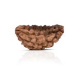 Original 1 Mukhi Rudraksha